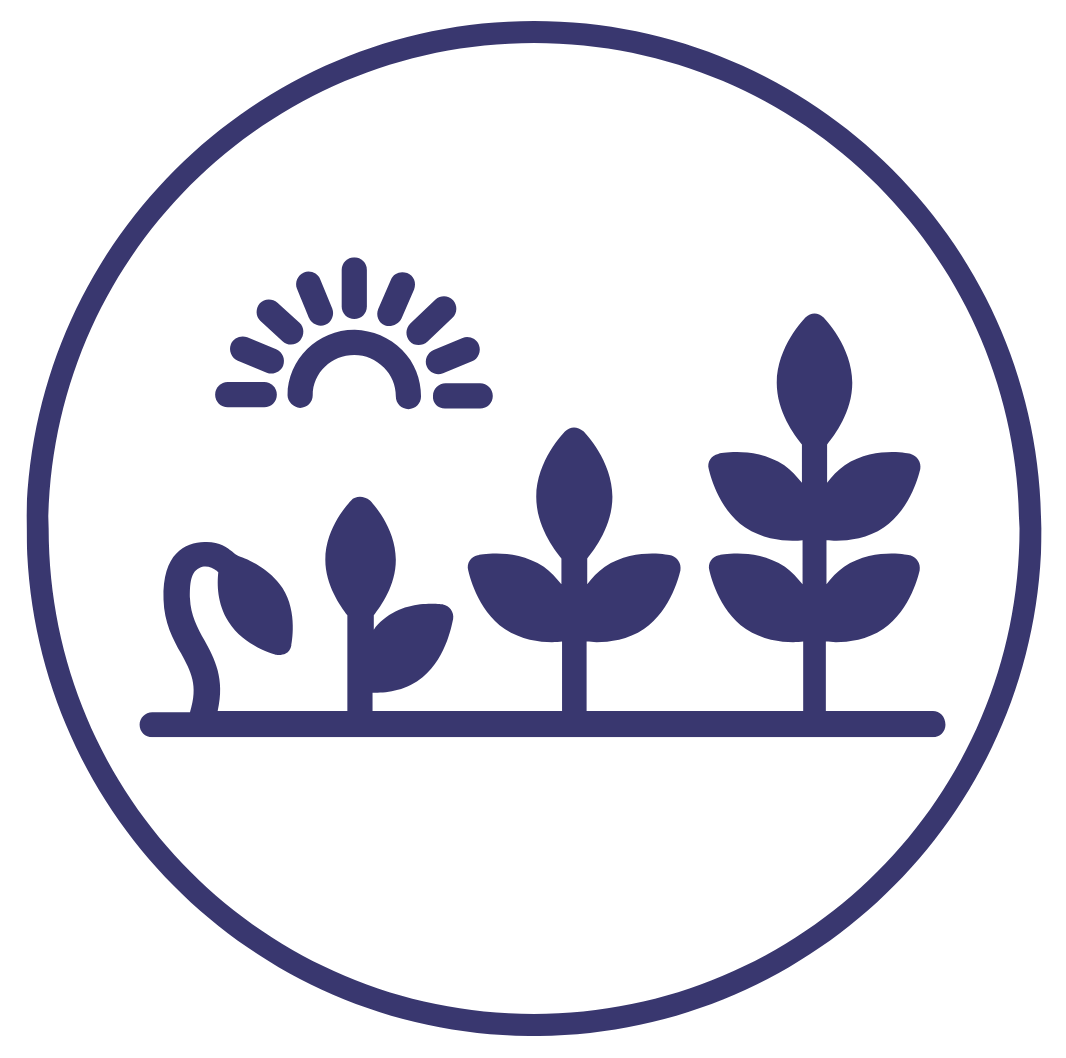 Icon 5